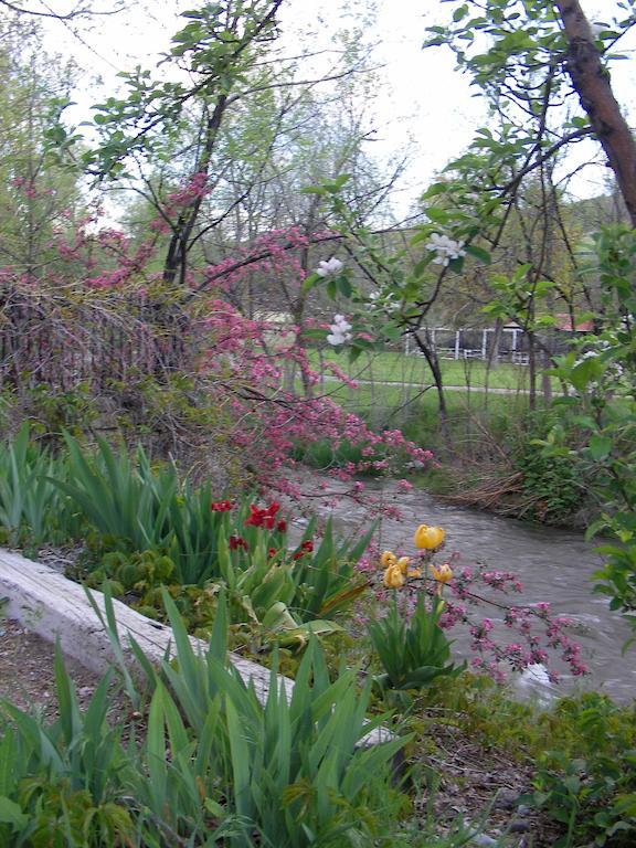 Riverside Hot Springs Inn & Spa - Adults Only Lava Hot Springs Extérieur photo